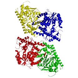 Image of CATH 3ii0