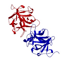 Image of CATH 3iir