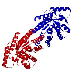 Image of CATH 3ijd