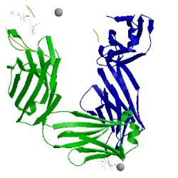 Image of CATH 3ijs