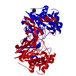 Image of CATH 3ijw