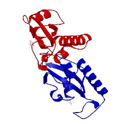 Image of CATH 3ikd