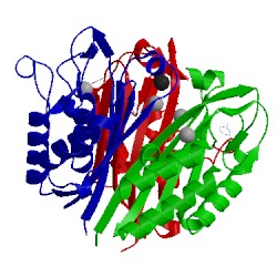 Image of CATH 3ike