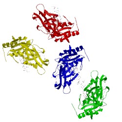 Image of CATH 3imb
