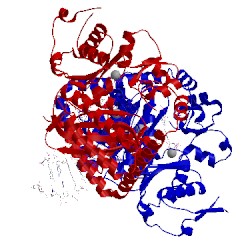 Image of CATH 3in5