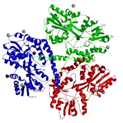 Image of CATH 3iot