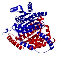 Image of CATH 3ioy