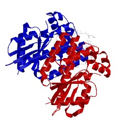 Image of CATH 3ipy