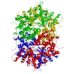 Image of CATH 3irh