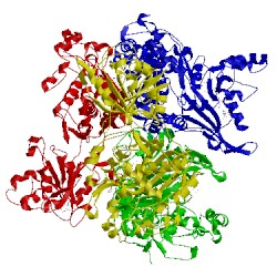 Image of CATH 3irn