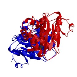 Image of CATH 3irt