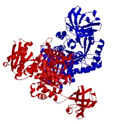 Image of CATH 3is4