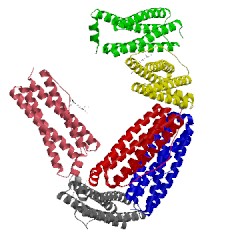 Image of CATH 3isf