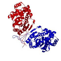 Image of CATH 3it2