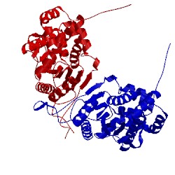Image of CATH 3it3