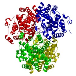 Image of CATH 3itm