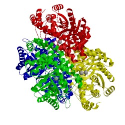 Image of CATH 3itx