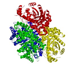 Image of CATH 3ity