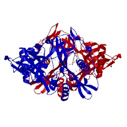 Image of CATH 3iu1