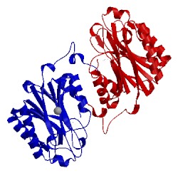 Image of CATH 3ivz