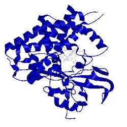 Image of CATH 3iw1