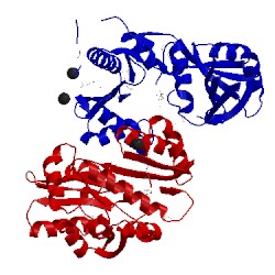 Image of CATH 3iwg