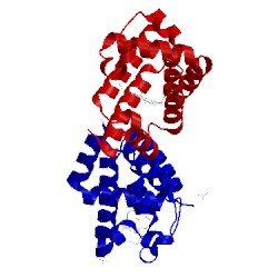 Image of CATH 3ixf