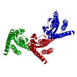 Image of CATH 3iz1