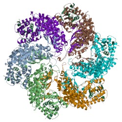 Image of CATH 3j3u