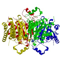 Image of CATH 3jqa