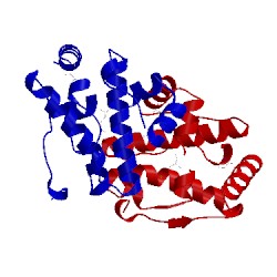 Image of CATH 3jrv