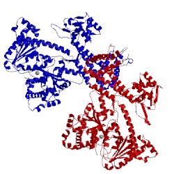 Image of CATH 3jv2