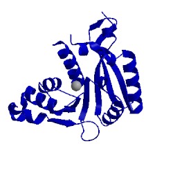 Image of CATH 3jwg