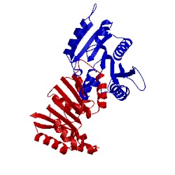Image of CATH 3jwj