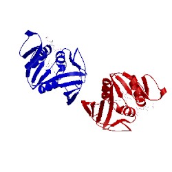 Image of CATH 3jwk