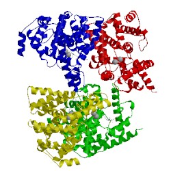 Image of CATH 3jwq