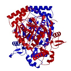 Image of CATH 3jwt