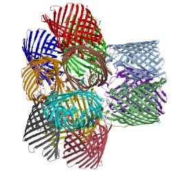 Image of CATH 3k19