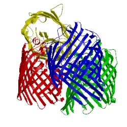 Image of CATH 3k1b