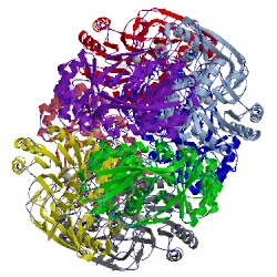 Image of CATH 3k1g