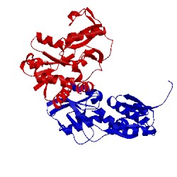 Image of CATH 3k2d
