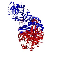Image of CATH 3k2h