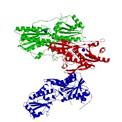 Image of CATH 3k2q