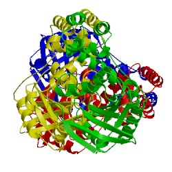 Image of CATH 3k53