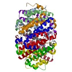 Image of CATH 3k6c