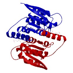 Image of CATH 3k8c