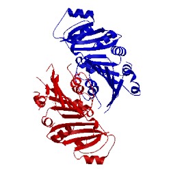 Image of CATH 3k8g