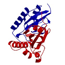 Image of CATH 3kac