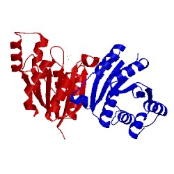 Image of CATH 3kbq