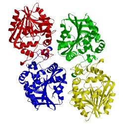 Image of CATH 3kd2